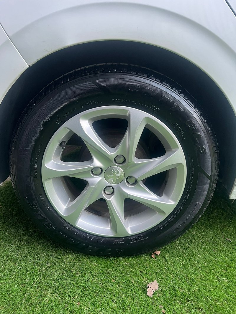 WhatsApp Image 2026-04-01 at 03.14.53 (3).jpeg