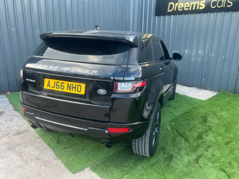 WhatsApp Image 2026-04-12 at 04.10.36 (3).jpeg