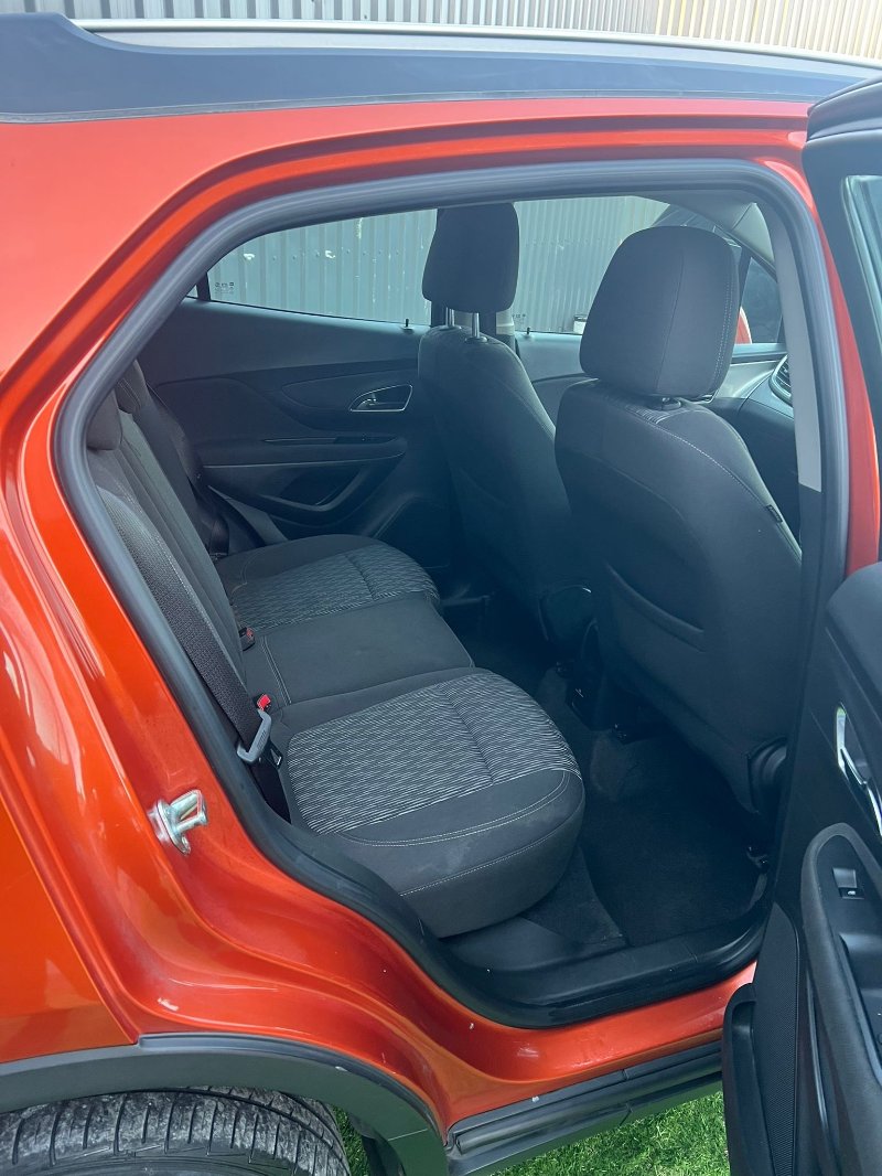 WhatsApp Image 2026-04-01 at 03.16.54 (4).jpeg