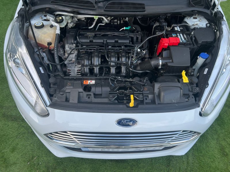 WhatsApp Image 2026-04-08 at 01.25.53.jpeg