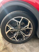 WhatsApp Image 2026-03-14 at 06.03.55 (3).jpeg