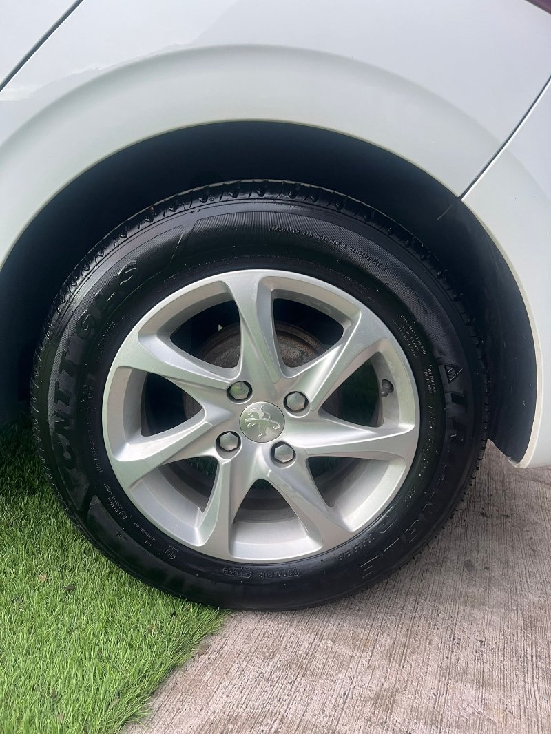 WhatsApp Image 2026-04-01 at 03.14.53 (2).jpeg