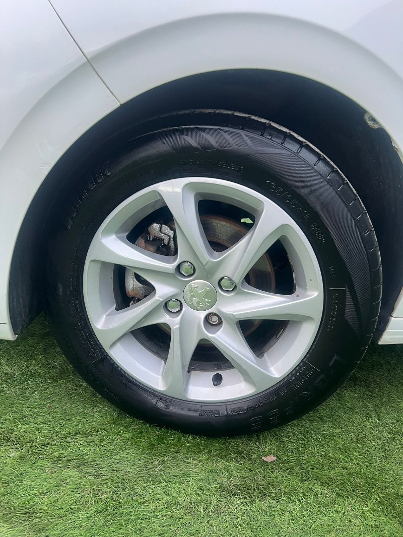 WhatsApp Image 2026-04-01 at 03.14.53 (1).jpeg