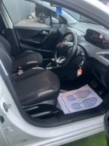 WhatsApp Image 2026-04-01 at 03.14.53 (7).jpeg