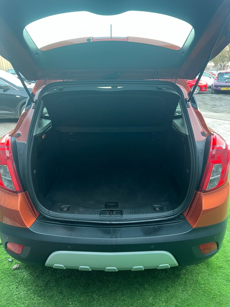 WhatsApp Image 2026-04-01 at 03.16.55.jpeg