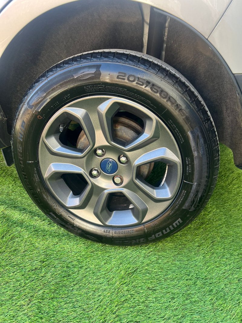 WhatsApp Image 2026-03-17 at 08.44.17.jpeg