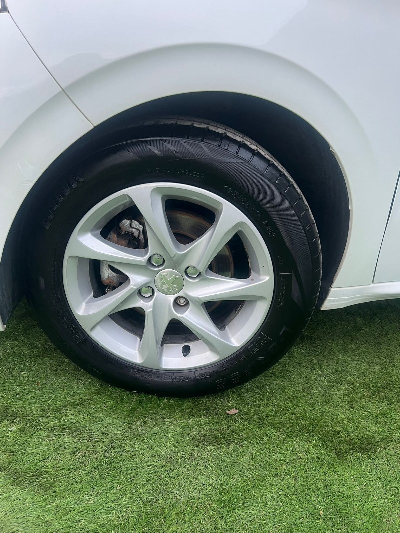 WhatsApp Image 2026-04-01 at 03.14.53.jpeg