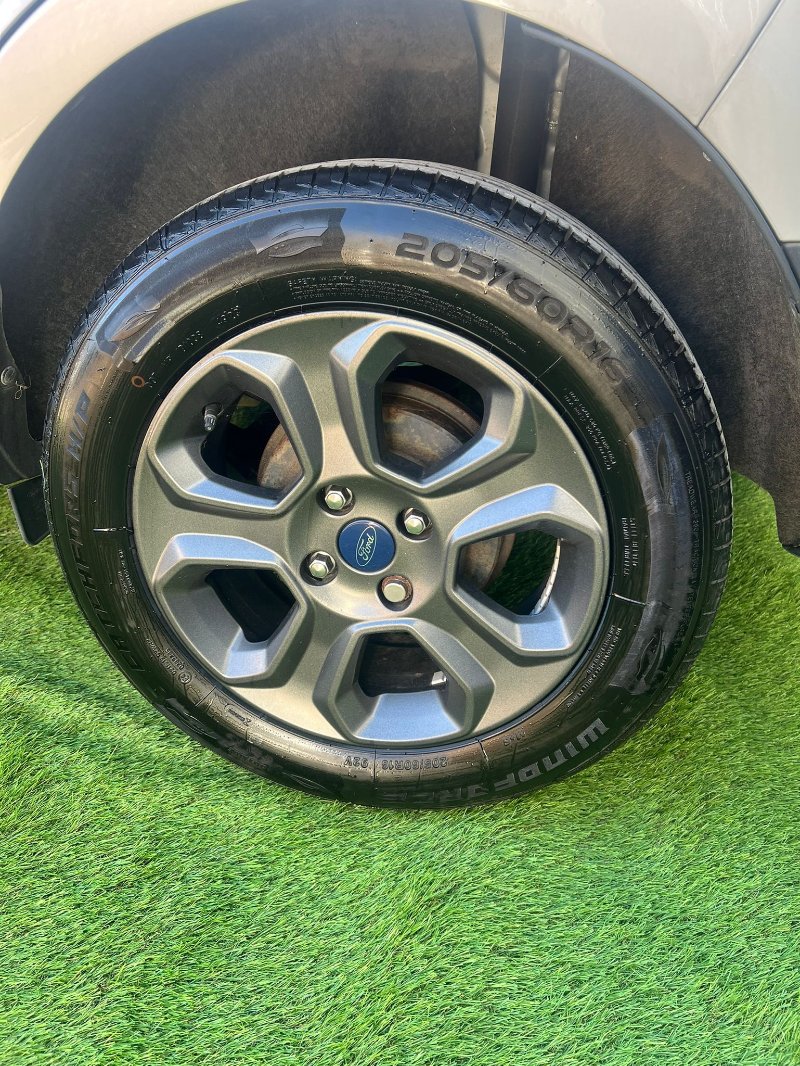 WhatsApp Image 2026-03-17 at 08.44.16 (1).jpeg